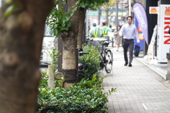 DSC00079