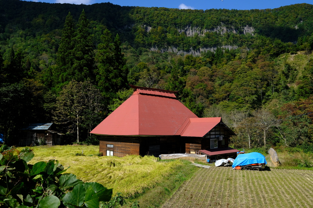 DSCF9718
