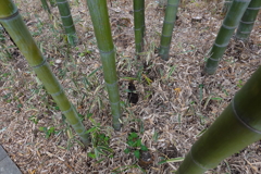 DSC01059
