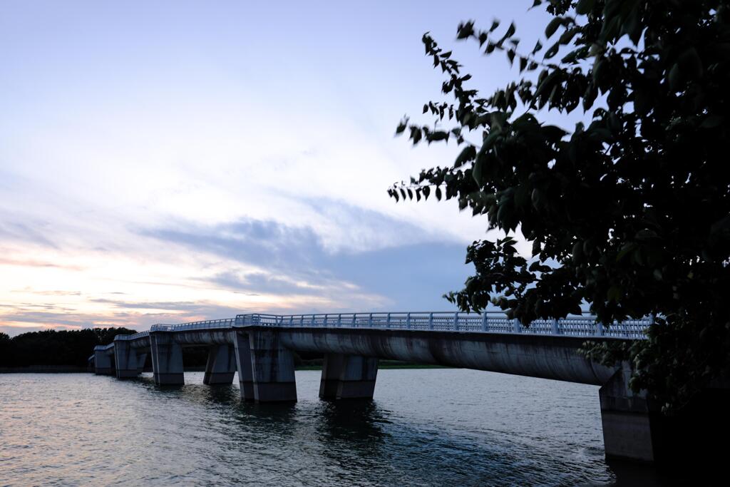 DSCF0955