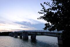 DSCF0955