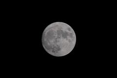 DSCF0987