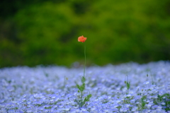 DSCF1202