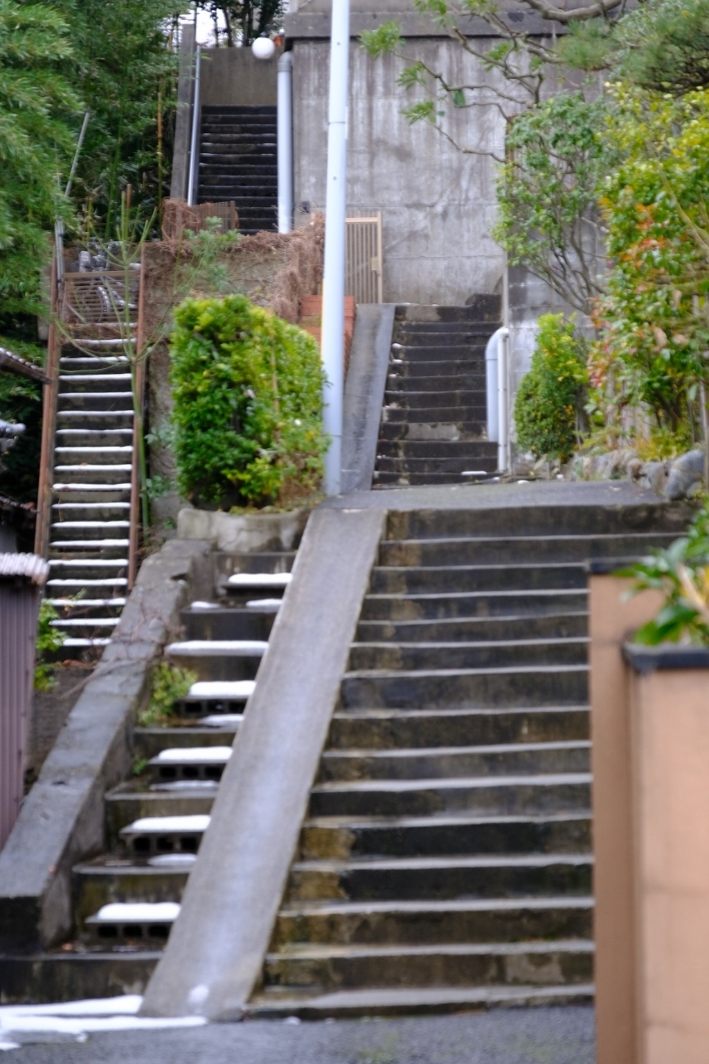 DSCF2895 (853x1280)