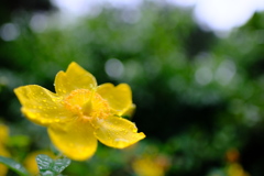 DSCF0315