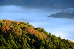 DSCF3212