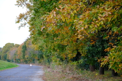DSCF3298