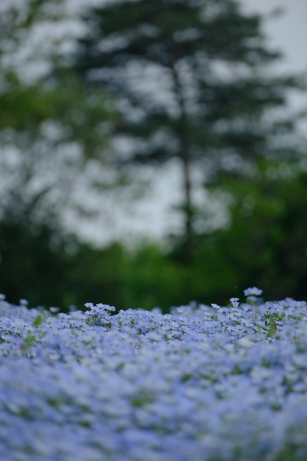 DSCF1229