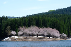 DSCF9750