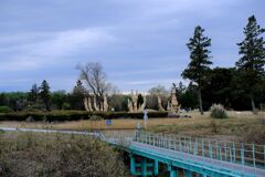 DSCF5870