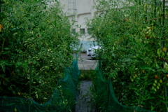 DSCF0912