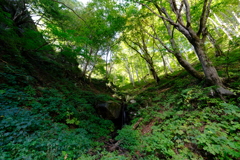 DSCF9703