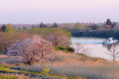 DSCF4188