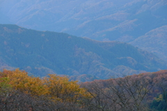 DSCF3108