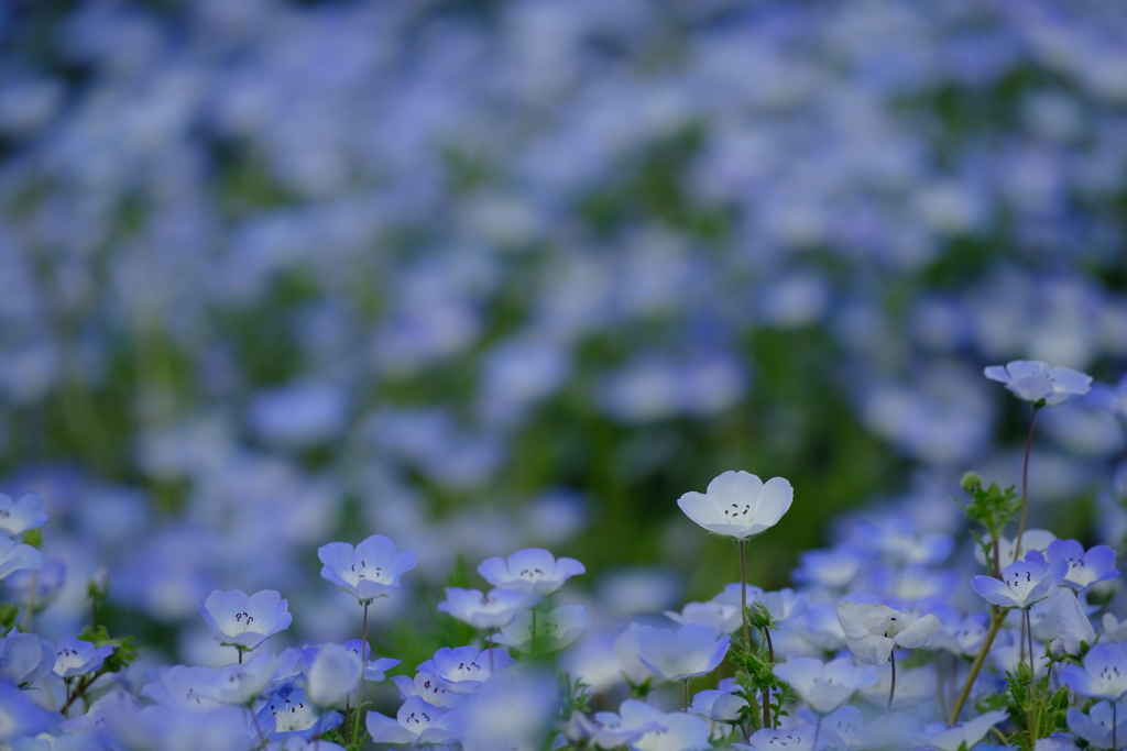 DSCF1198