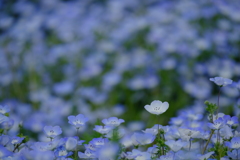 DSCF1198