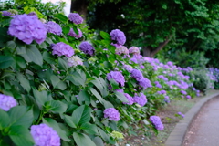 DSCF0166