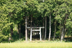DSC03173
