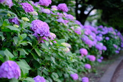 DSCF0163