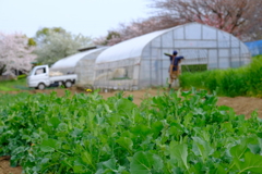 DSCF1041