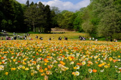 森林公園3