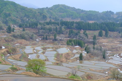 DSCF9654