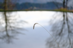DSCF4090