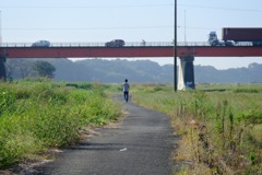 DSCF7520