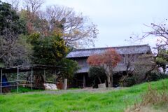 DSCF5877