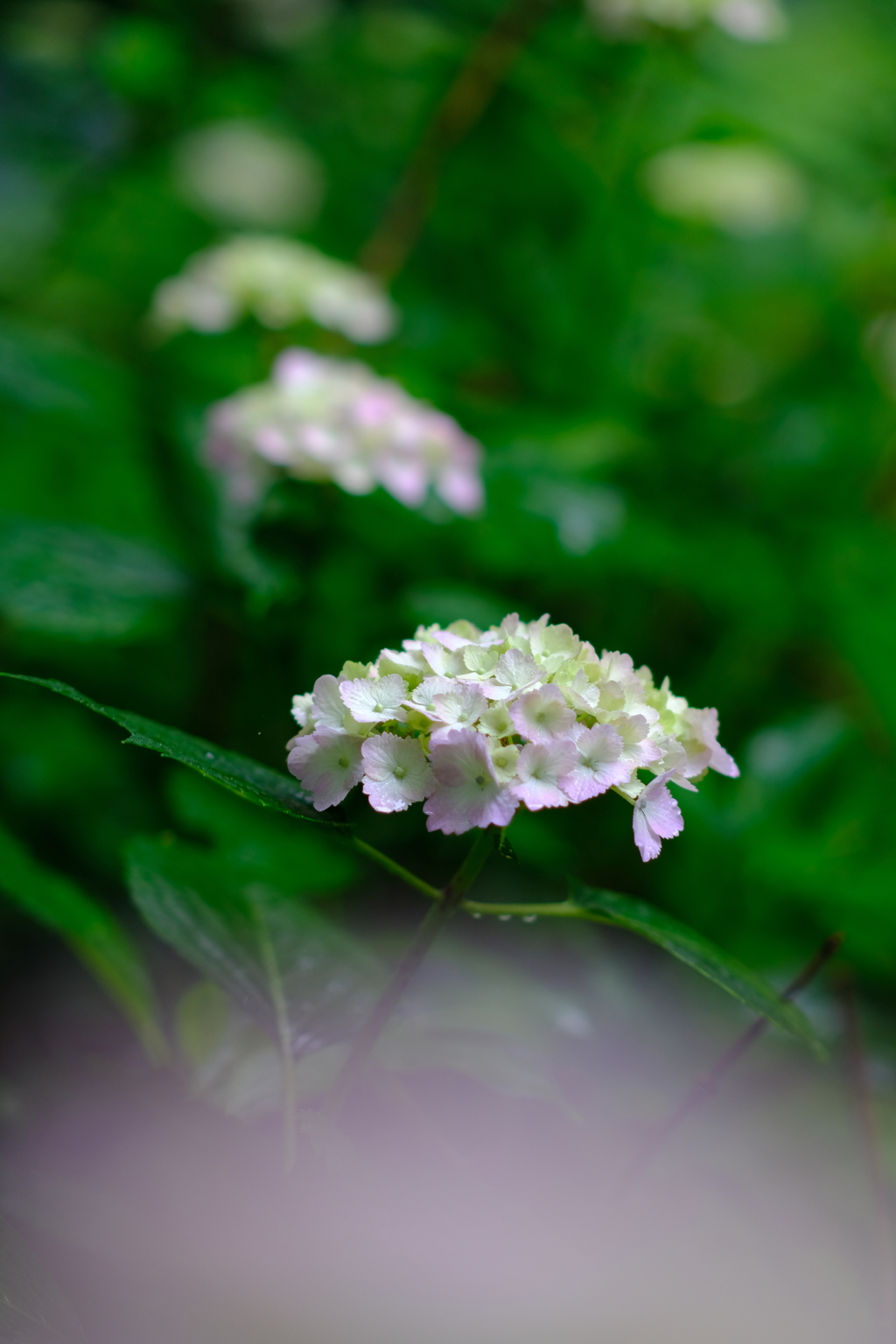 DSCF1418