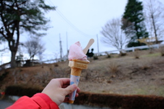 DSCF9095