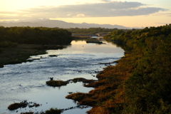 DSCF2751