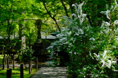 DSCF9414
