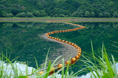 DSCF0980