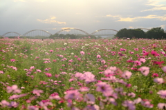 DSCF2544