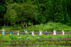 DSCF0955