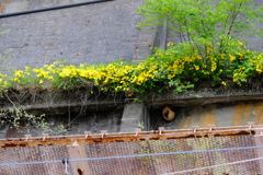 DSCF9801