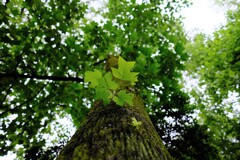 DSCF0407