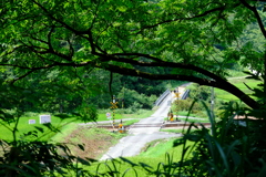 DSCF1084