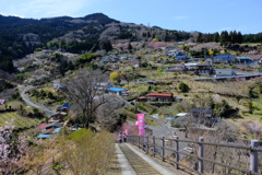 DSCF9050
