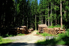 DSCF2024