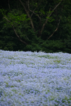 DSCF1293
