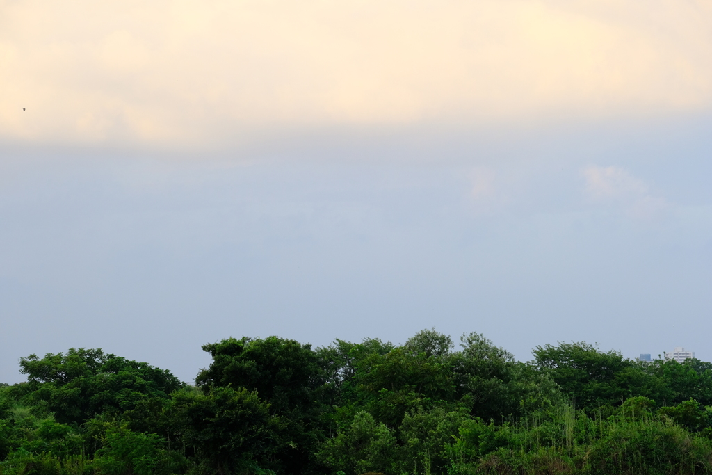 DSCF0846