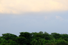 DSCF0846