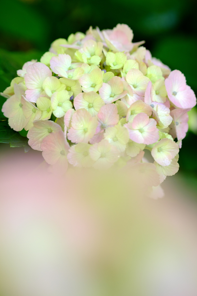 DSCF1519