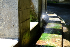 DSCF1070