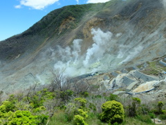 DSCF0104