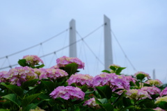 DSCF9944