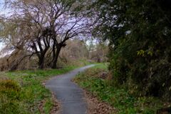 DSCF5884