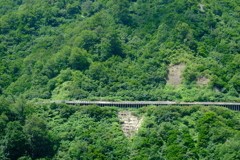 DSCF1059